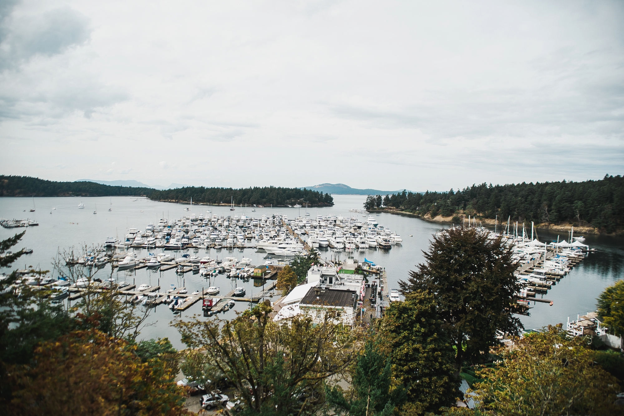 Roche Harbor Resort from above