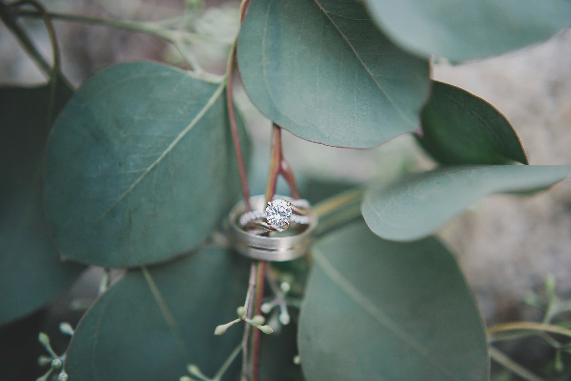boho-forest-wedding-rings