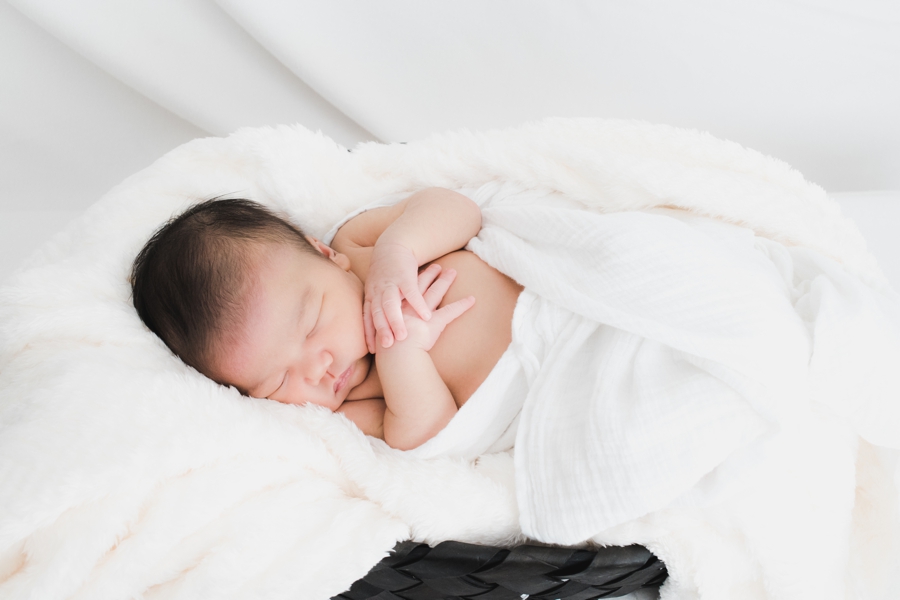 ballard newborn photography