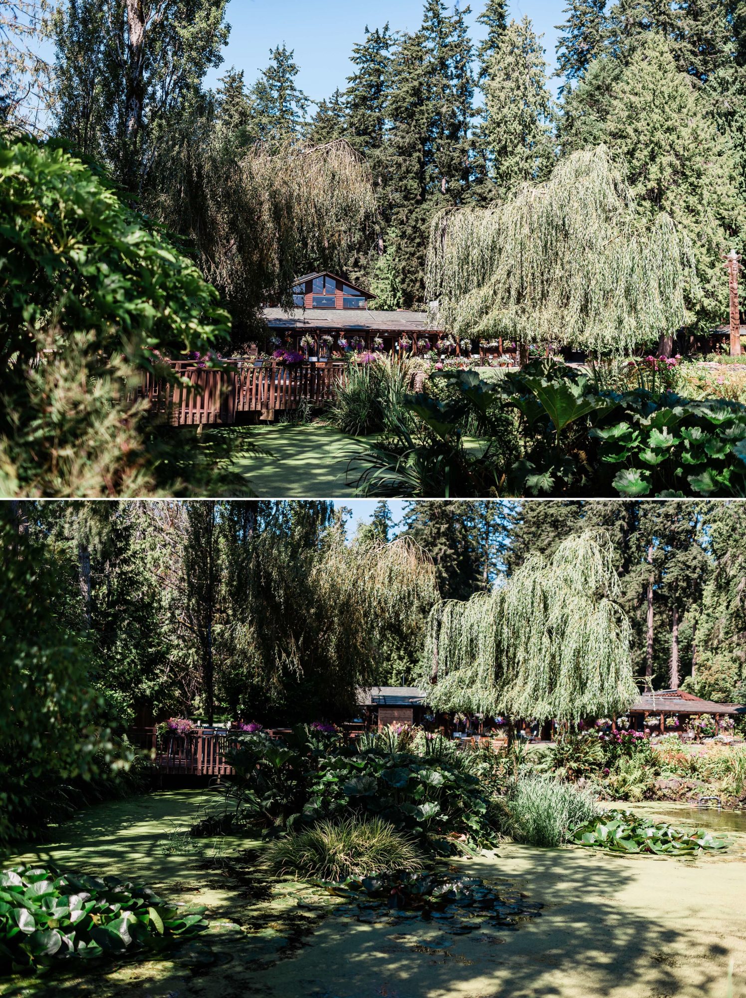 Gardens at Kiana Lodge