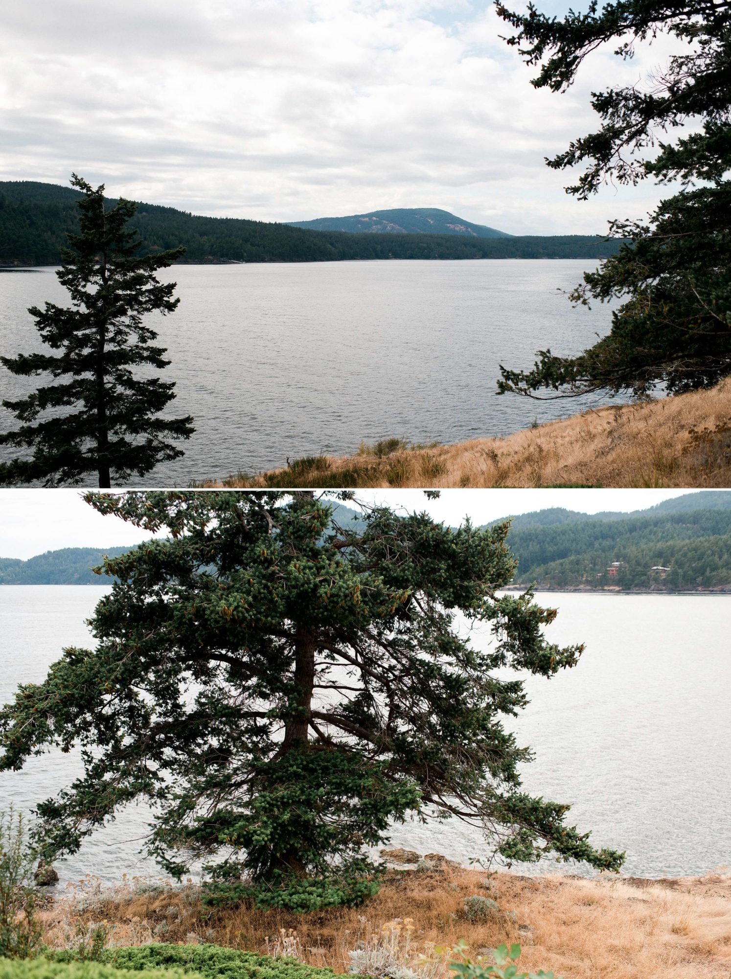 waterfront grounds at Rosario Resort on Orcas Island