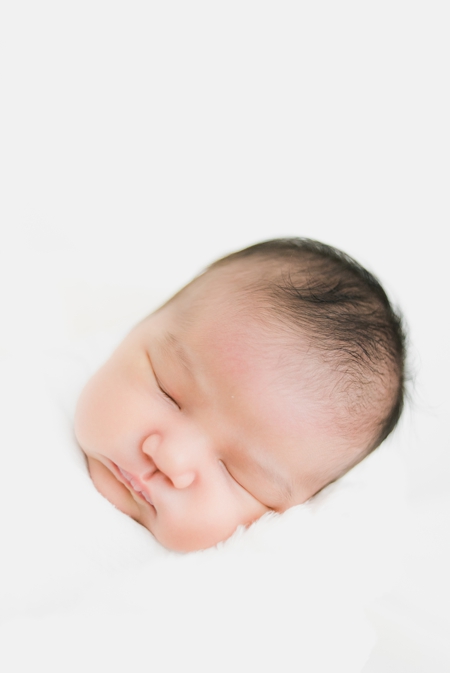 ballard newborn photography