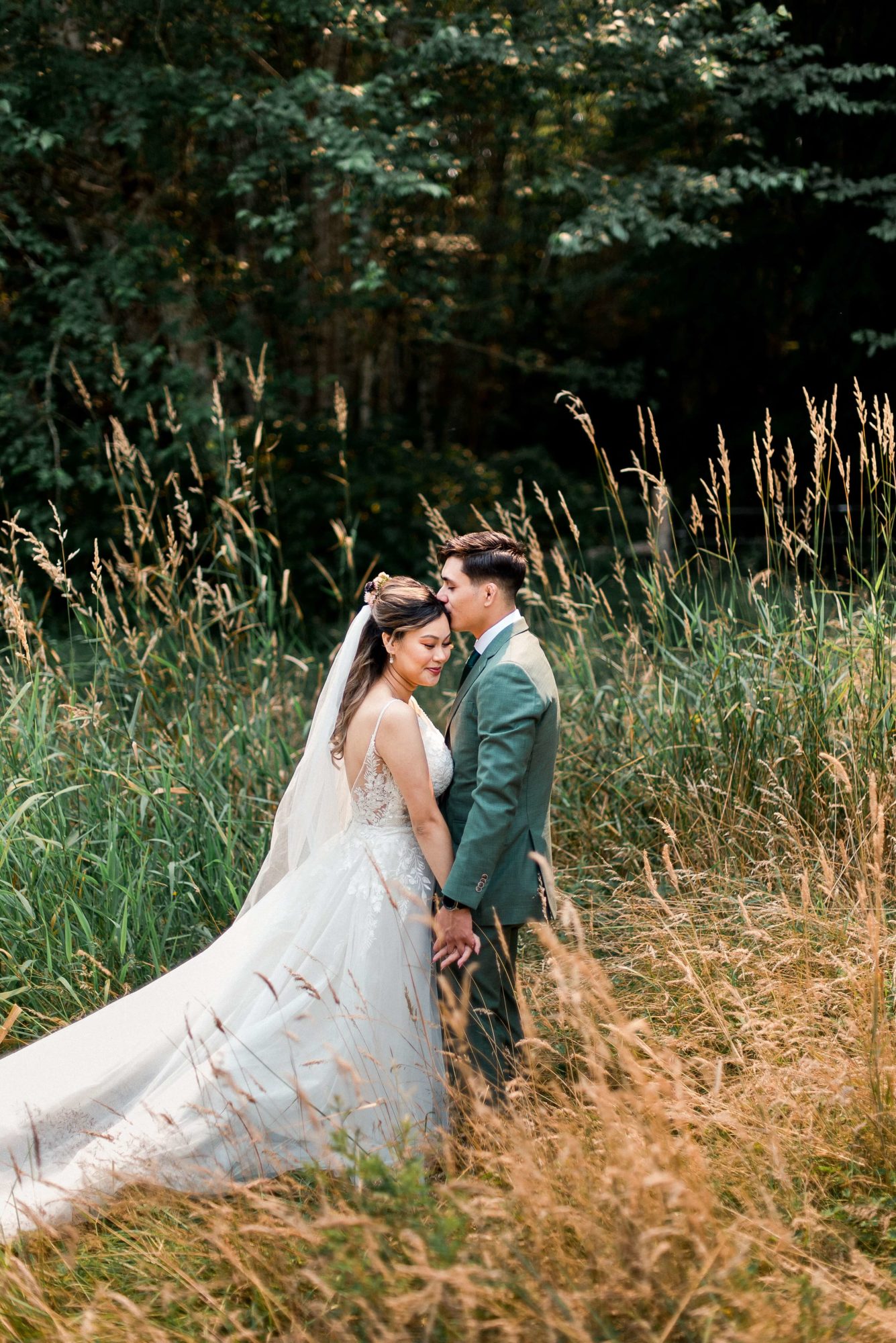 groom kisses his bride's forehead amongst the tall golden grass