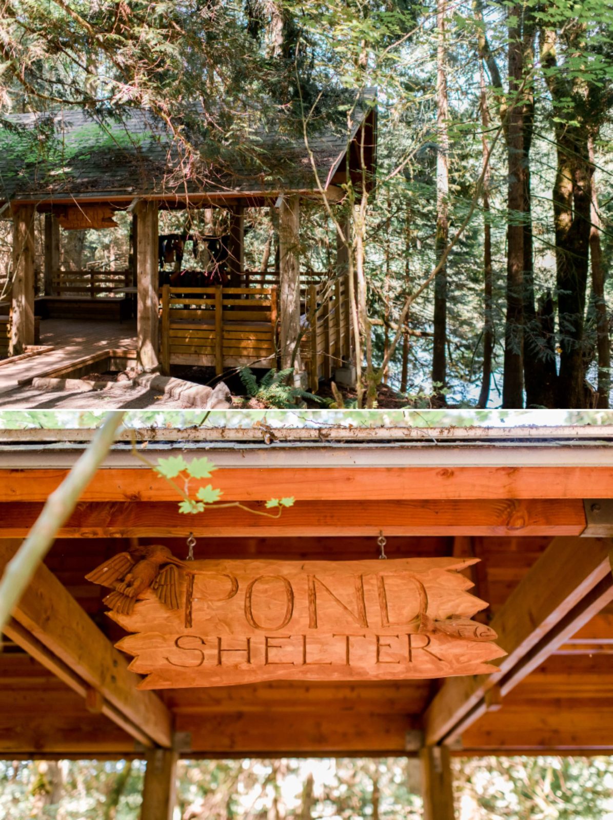 Stunning Natural Beauty at the IslandWood Wedding Venue!