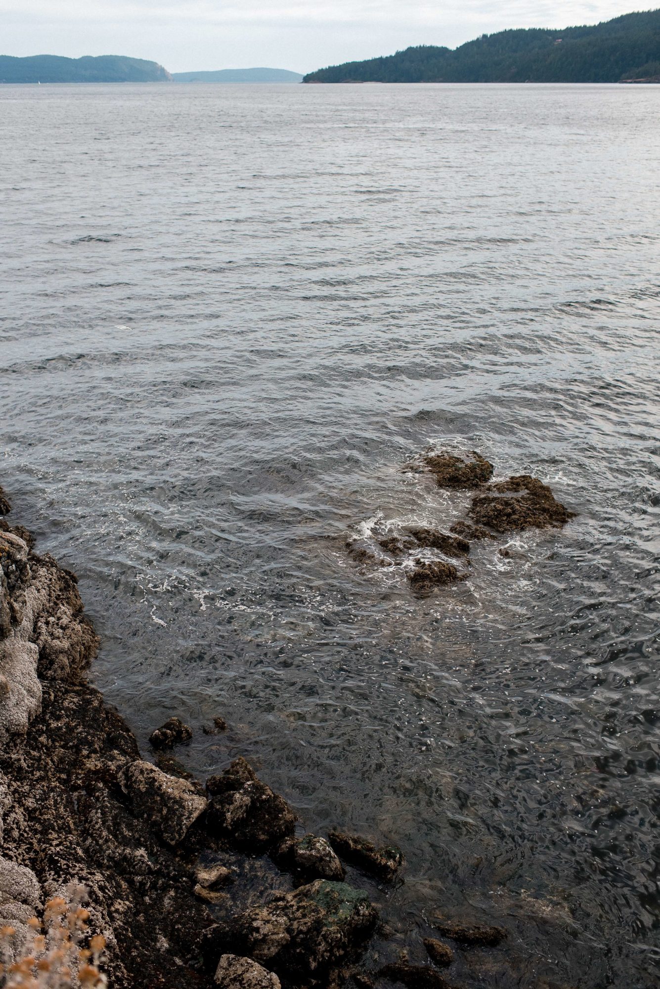 Orcas Island Views from Rosario Resort