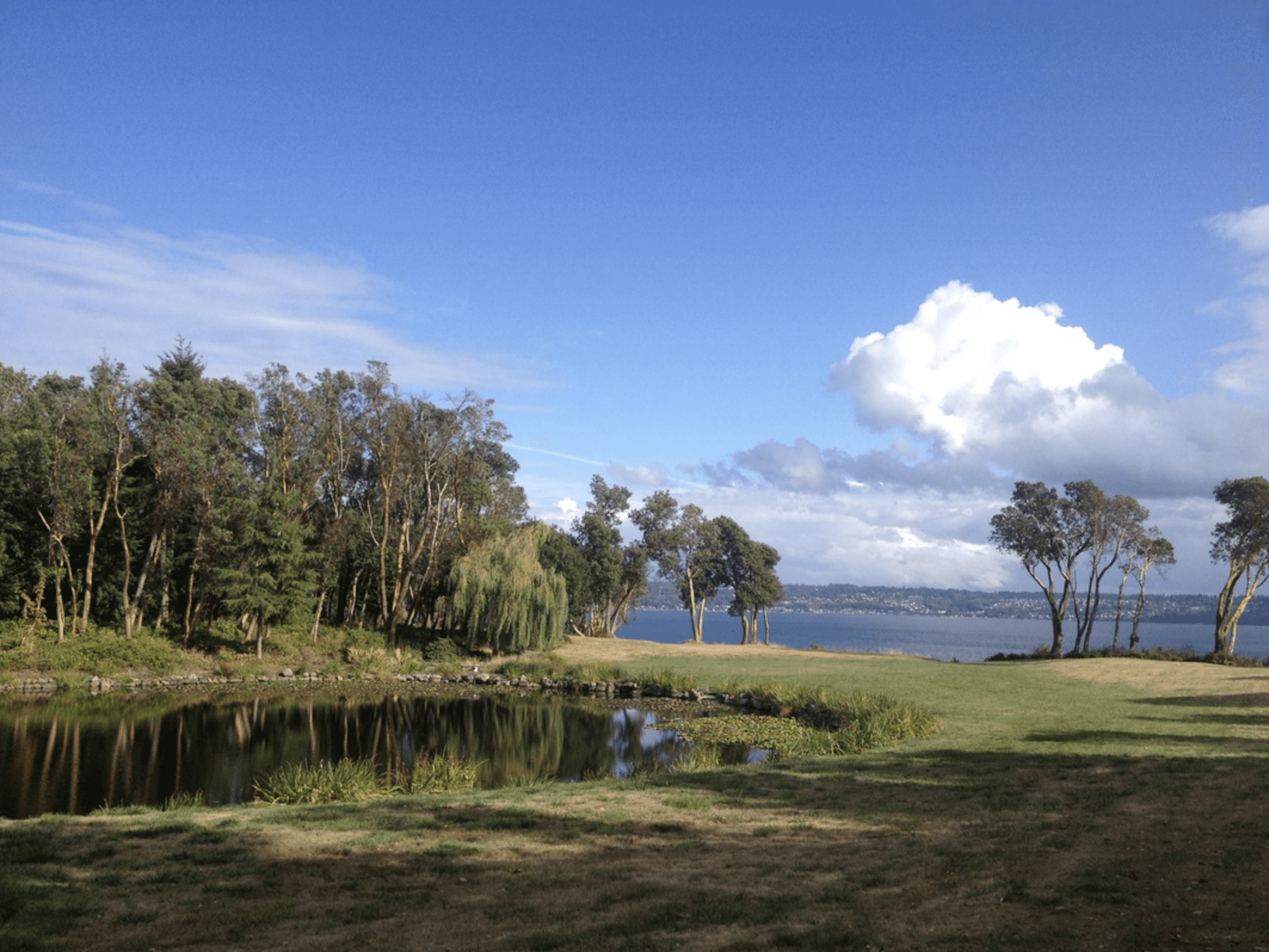 Vashon field and pond wedding venue
